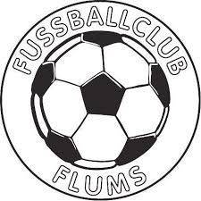 FC Flums